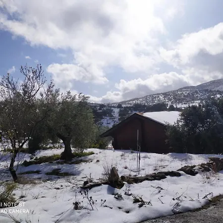 Casa La Colina Mandarina I Holiday home *