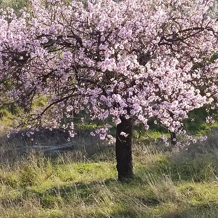 Casa La Colina Mandarina I Tahal