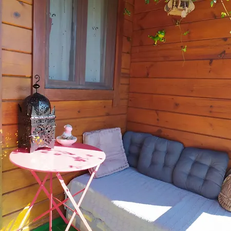 Casa La Colina Mandarina I Holiday home *