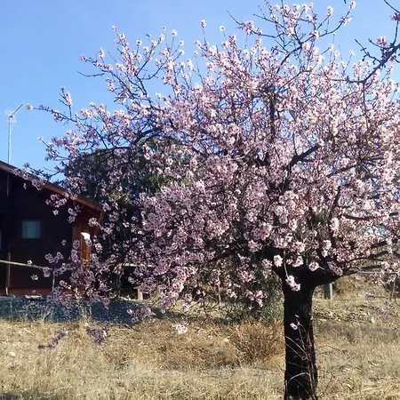 Casa La Colina Mandarina I * Tahal