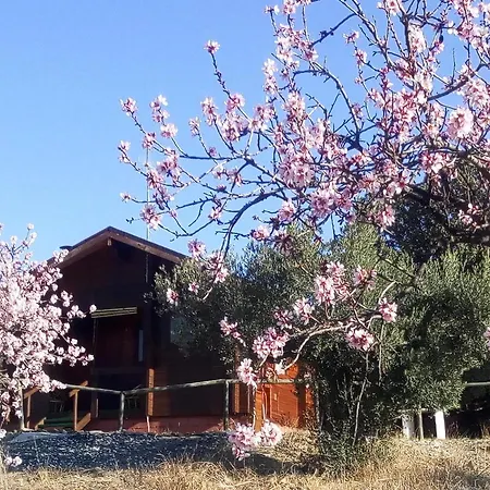 Holiday home Casa La Colina Mandarina I Tahal