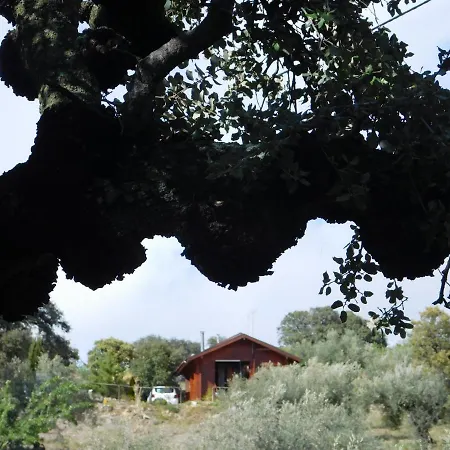Casa La Colina Mandarina I Holiday home *