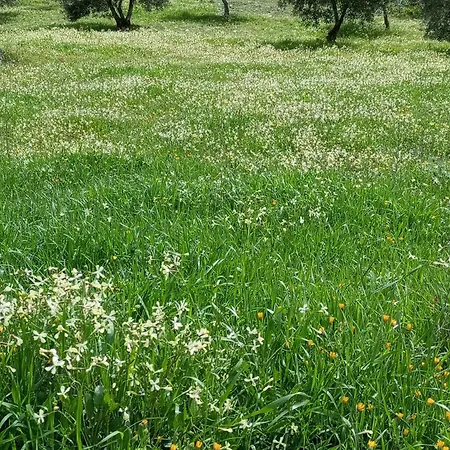Casa La Colina Mandarina I Nyaraló Tahal